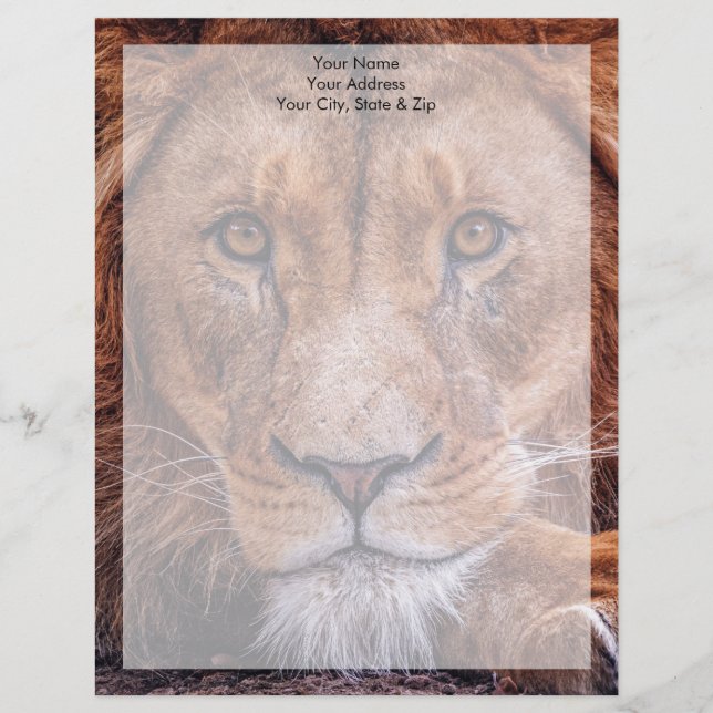 Afrikanische Lion Briefbogen (Vorderseite)
