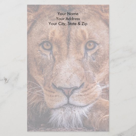Afrikanische Lion Briefpapier (Vorderseite)
