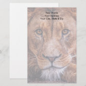 Afrikanische Lion Briefpapier (Vorne/Hinten)