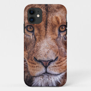 Afrikanische Lion Case-Mate iPhone Hülle