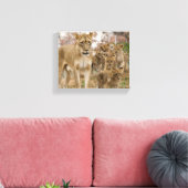 Afrikanische Lion Cubs mit Mutter Leinwanddruck (Insitu (Wohnzimmer))