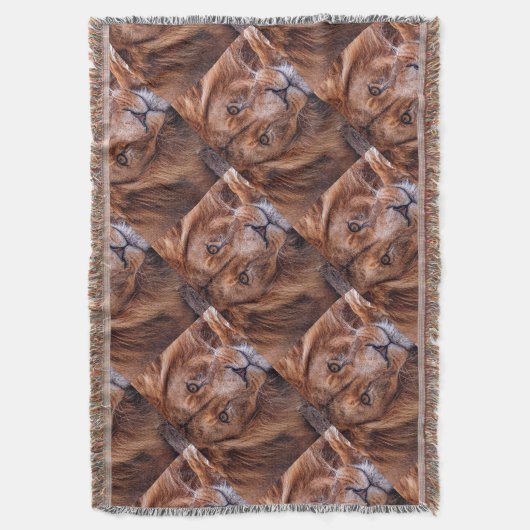 Afrikanische Lion Decke (Vorderseite Vertikal)