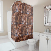 Afrikanische Lion Duschvorhang (Beispiel)