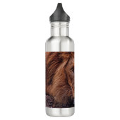 Afrikanische Lion Edelstahlflasche (Links)