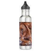 Afrikanische Lion Edelstahlflasche (Rechts)