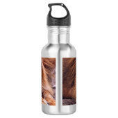 Afrikanische Lion Edelstahlflasche (Rückseite)