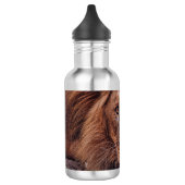 Afrikanische Lion Edelstahlflasche (Links)