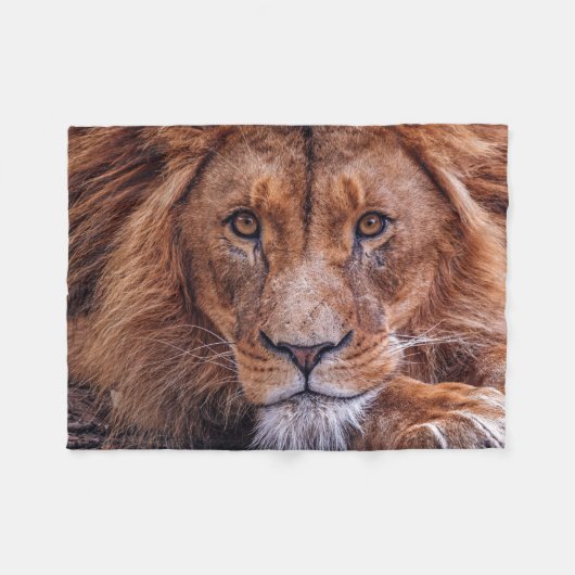 Afrikanische Lion Fleecedecke (Vorderseite (Horizontal))