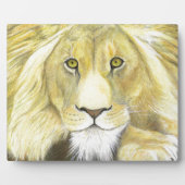 Afrikanische Lion Fotoplatte (Vorderseite)