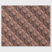 Afrikanische Lion Geschenkpapier (Flach)