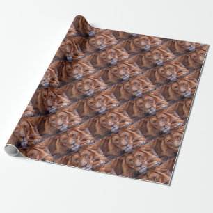 Afrikanische Lion Geschenkpapier