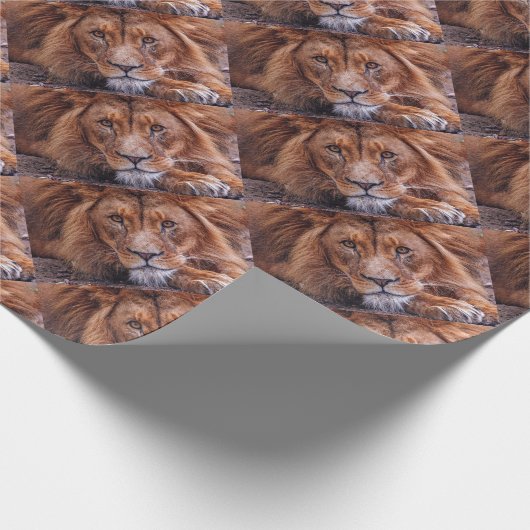 Afrikanische Lion Geschenkpapier (Ecke)