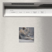 Afrikanische Lion Magnet (In Situ (Geschirrspüler))