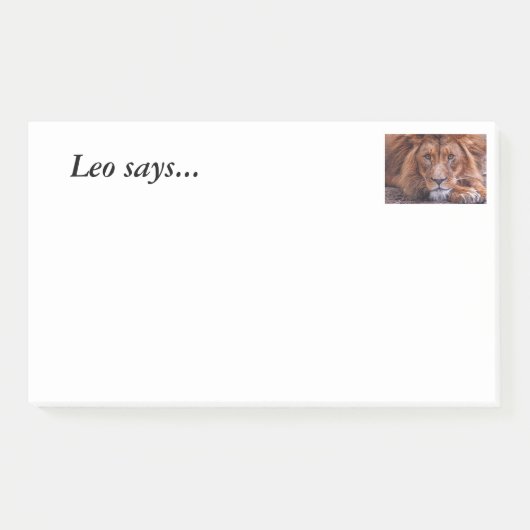 Afrikanische Lion Post-it Klebezettel (Vorderseite)