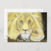 Afrikanische Lion Postkarte (Vorne/Hinten)