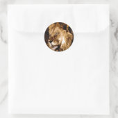Afrikanische Lion Runder Aufkleber (Tasche)