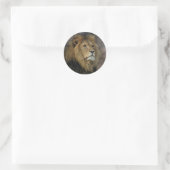 Afrikanische Lion Runder Aufkleber (Tasche)
