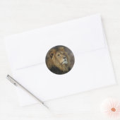Afrikanische Lion Runder Aufkleber (Umschlag)