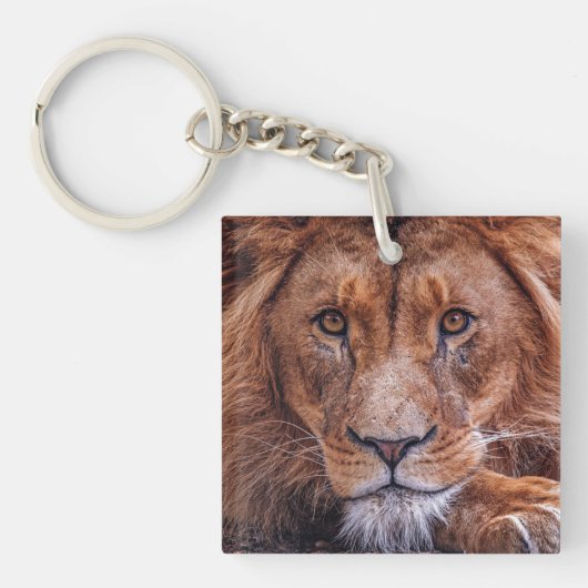 Afrikanische Lion Schlüsselanhänger (Vorderseite)