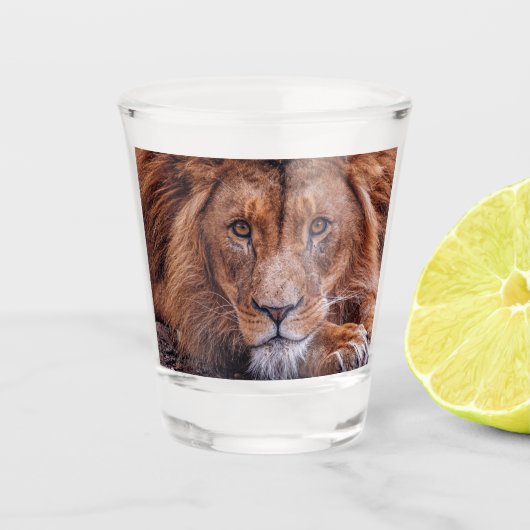 Afrikanische Lion Schnapsglas (Vorderseite)