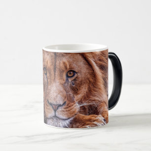 Afrikanische Lion Verwandlungstasse