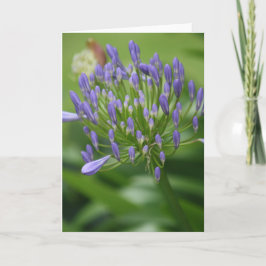 Afrikanische Lippenkarte Dankeskarte