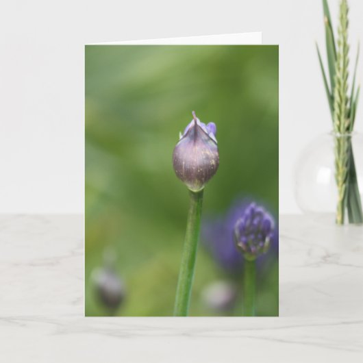 Afrikanische Lippenkarte Dankeskarte (Vorderseite)