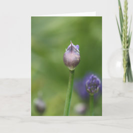 Afrikanische Lippenkarte Dankeskarte