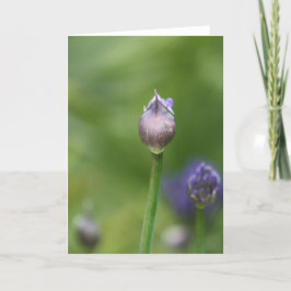 Afrikanische Lippenkarte Dankeskarte