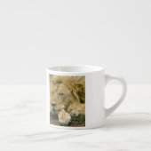 Afrikanische Löwe, Panthera leo, schlafend Espressotasse (Rechts)