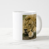 Afrikanische Löwe, Panthera leo, schlafend Jumbo-Tasse (Vorderseite Rechts)