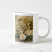 Afrikanische Löwe, Panthera leo, schlafend Jumbo-Tasse (Rechts)