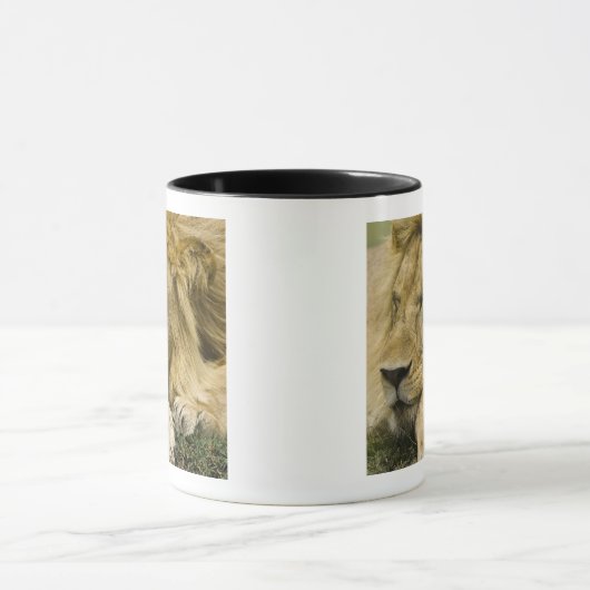 Afrikanische Löwe, Panthera leo, schlafend Tasse (Zentrum)