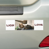 Afrikanische Löwen Autoaufkleber (Auf Auto)