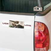 Afrikanische Löwen Autoaufkleber (Auf Lkw)