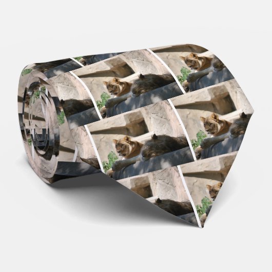 Afrikanische Löwen Krawatte (Gerollt)