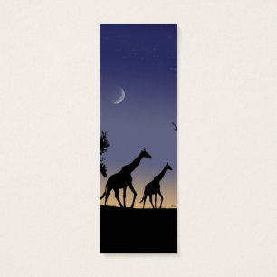 Afrikanische Morgendämmerung - Giraffen