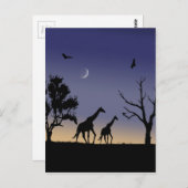 Afrikanische Morgendämmerung - Giraffen Postkarte (Vorne/Hinten)