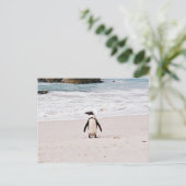Afrikanische Pinguin Postcard Postkarte (Stehend Vorderseite)