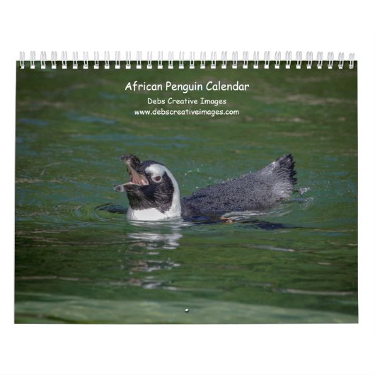 Afrikanische Pinguine 2026 Kalender (Titelbild)