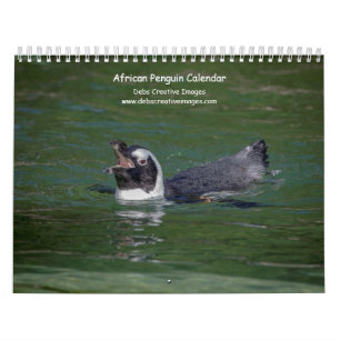 Afrikanische Pinguine 2026 Kalender