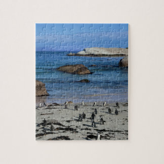 Afrikanische Pinguine am Flussstein-Strand, in Puzzle