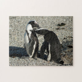 Afrikanische Pinguine, die sich pflegen Puzzle