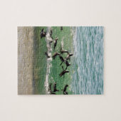 Afrikanische Pinguine schwimmen am Strand Puzzle (Horizontal)