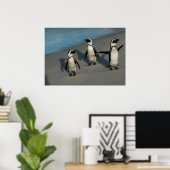 Afrikanische Pinguine | Spheniscus Demersus Poster (Heimbüro)