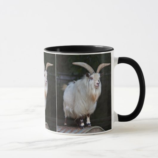 Afrikanische Pygmäen-Ziege-Tasse Tasse (Rechts)