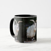 Afrikanische Pygmäen-Ziege-Tasse Tasse (Vorderseite Links)