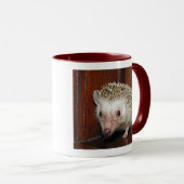 Afrikanische PygmäenIgels-Tasse Tasse (VorderseiteRechts)