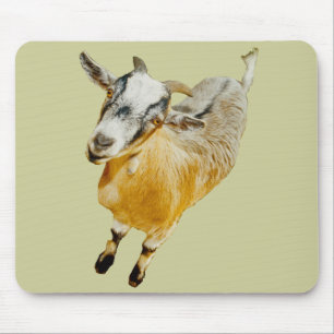 Afrikanische Pygmäenziege Mousepad