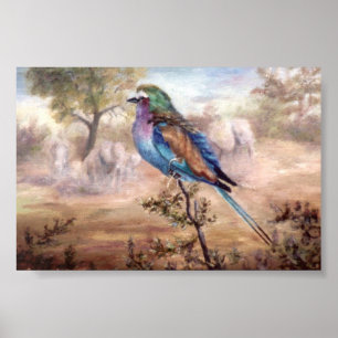 Afrikanische Rolle Poster